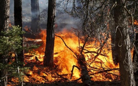 Incendi boschivi, dall’11 settembre stop allo stato di massima pericolosità in Piemonte