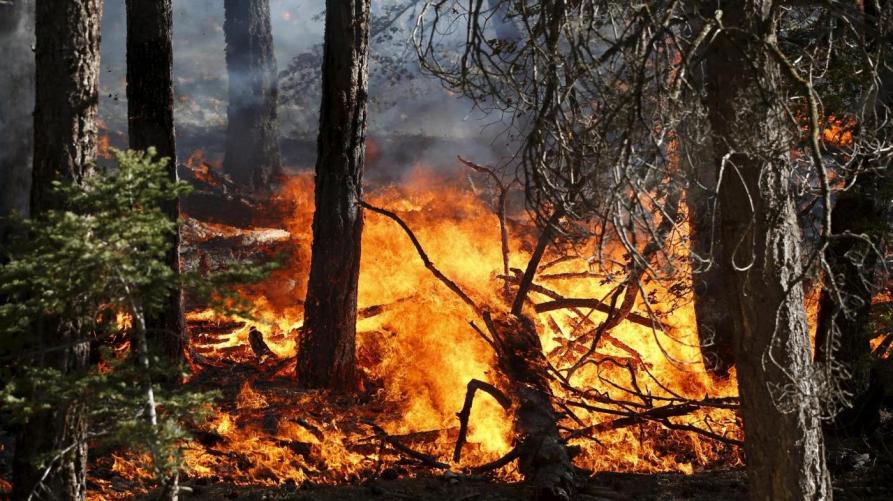 Incendi boschivi, dall’11 settembre stop allo stato di massima pericolosità in Piemonte