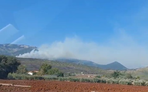 Incendi sui Monti Lepini, distrutti centinaia di ettari di biodiversità