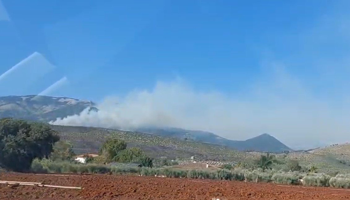 Incendi sui Monti Lepini, distrutti centinaia di ettari di biodiversità