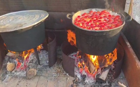 La stagione della conserva dei pomodori. La tradizione continua