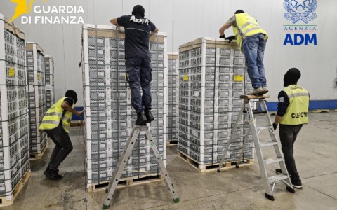 Livorno, droga all’interno di un container di frutta: maxi-sequestro