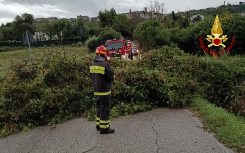 Maltempo, allagamenti e disagi tra Ancona e Falconara