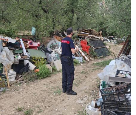 Ottanta metri cubi di rifiuti abbandonati in un terreno privato, la scoperta