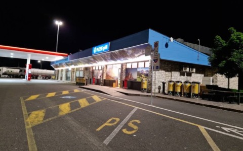 Sette cani morti soffocati in viaggio verso la Lapponia