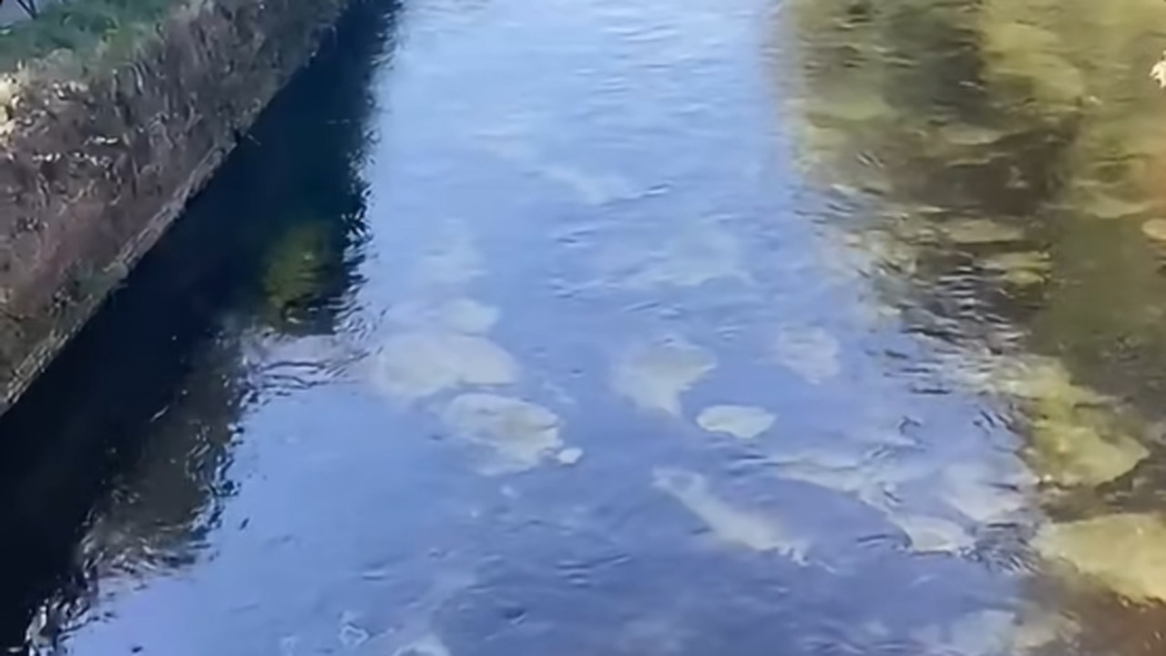 Sversamento nei Navigli, soccorsi al lavoro per fermare il gasolio