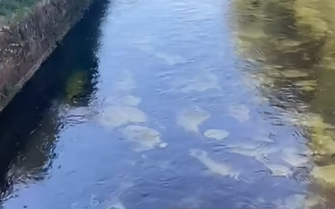 Sversamento nei Navigli, soccorsi al lavoro per fermare il gasolio
