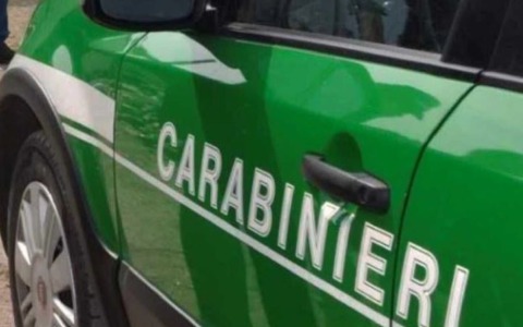 Trasporto illecito di rifiuti, denunciato un uomo