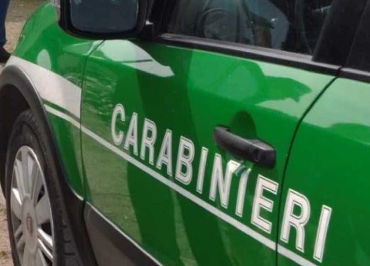 Trasporto illecito di rifiuti, denunciato un uomo