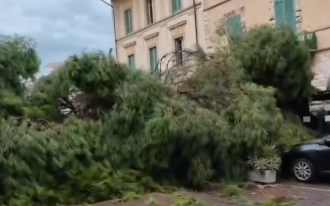 Tromba d’aria a Viareggio: cadono due alberi, tanti danni