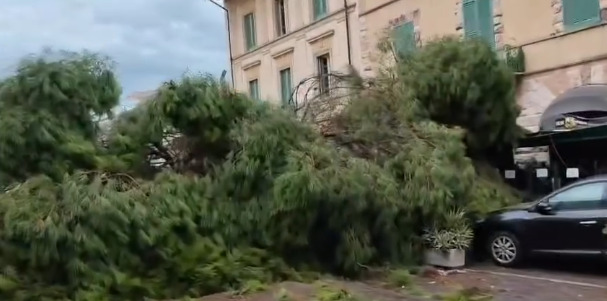 Tromba d’aria a Viareggio: cadono due alberi, tanti danni