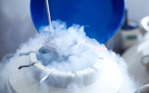 Veneto, proposta per rimborsare il social freezing alle under 32