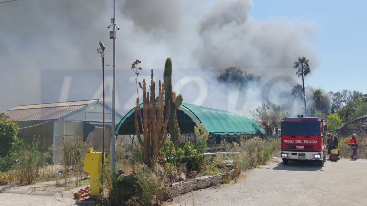 Incendio in un vivaio abbandonato, paura all’ICOT