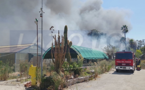 Incendio in un vivaio abbandonato, paura all’ICOT
