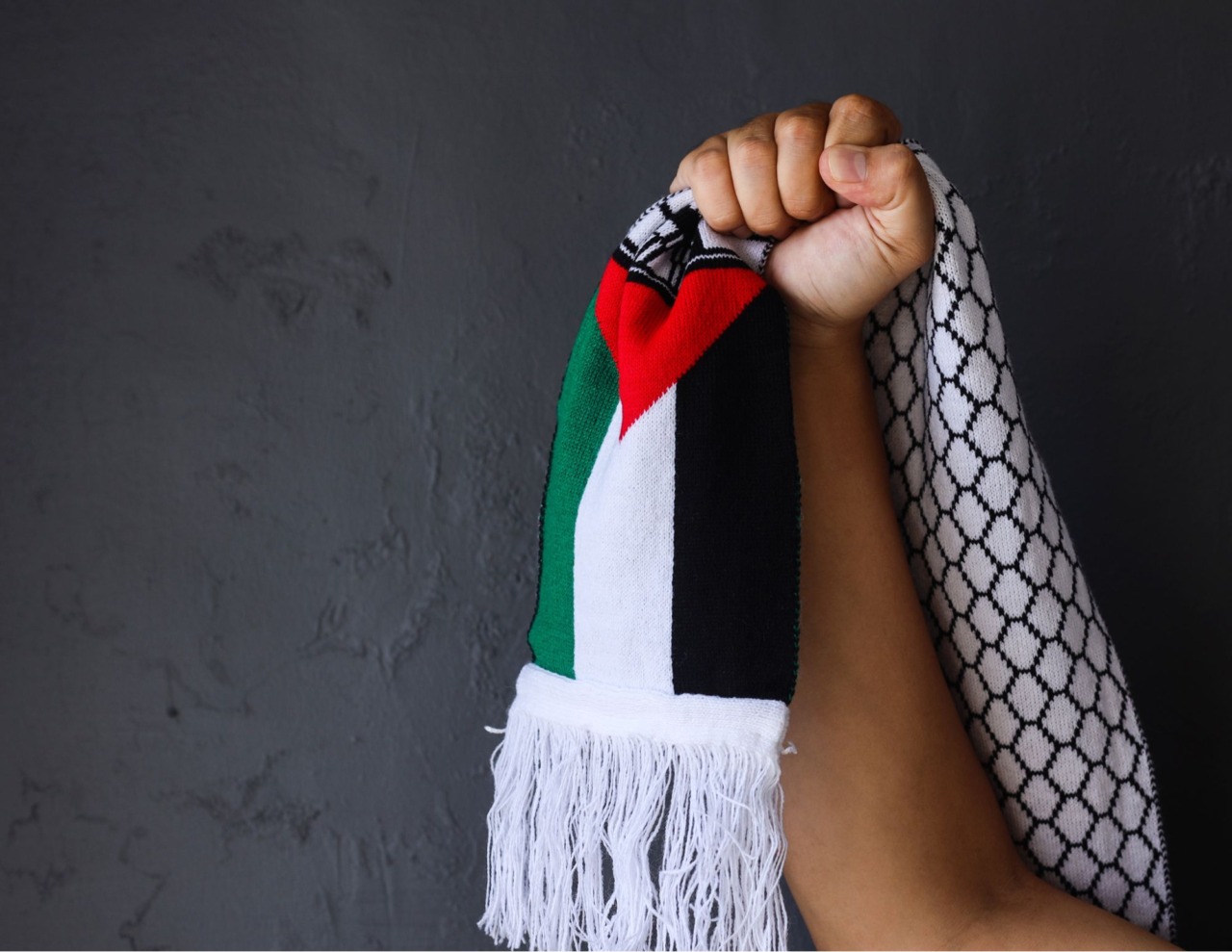 A Massa, musica e corteo per la protesta a sostegno della Palestina