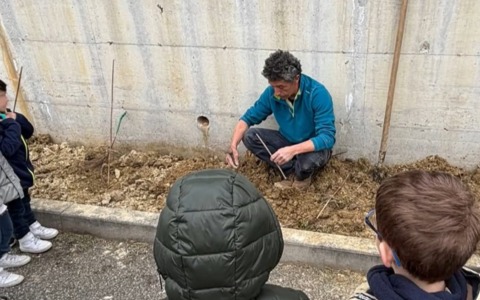 A San Salvatore Monferrato i bimbi piantano le viti