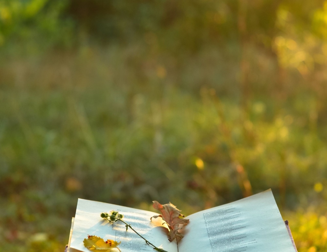 A Sanfrè fotografia e poesia si incontrano in Versi visivi