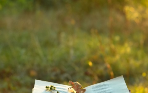 A Sanfrè fotografia e poesia si incontrano in Versi visivi