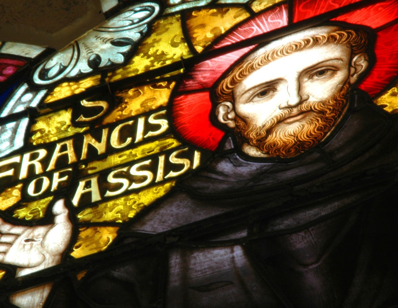 A Siena il Consiglio comunale celebra San Francesco