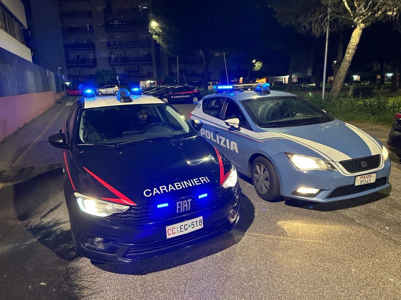 Controlli straordinari del territorio: un arresto e varie sanzioni
