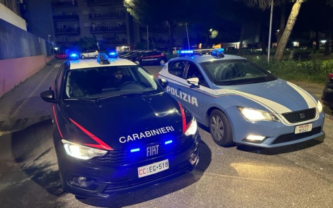 Controlli straordinari del territorio: un arresto e varie sanzioni