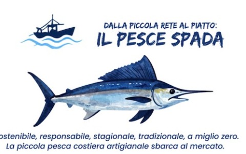 Dalla rete al piatto, tutto sul pesce spada al mercato contadino