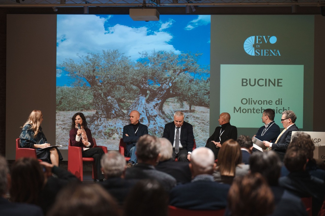 EVO in Siena 2026: al Santa Maria della Scala la terza edizione dedicata al valore dell’olio extravergine