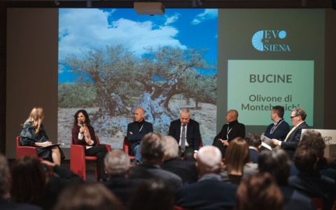 EVO in Siena 2026: al Santa Maria della Scala la terza edizione dedicata al valore dell’olio extravergine