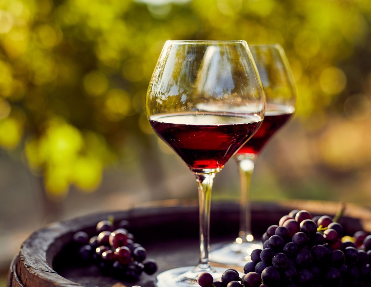 Fermo, degustazioni nei musei per “Di Uva in Vino”