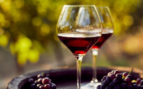 Fermo, degustazioni nei musei per “Di Uva in Vino”
