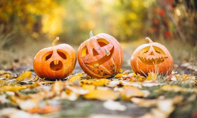 Halloween, è boom dello “zuccaturismo”