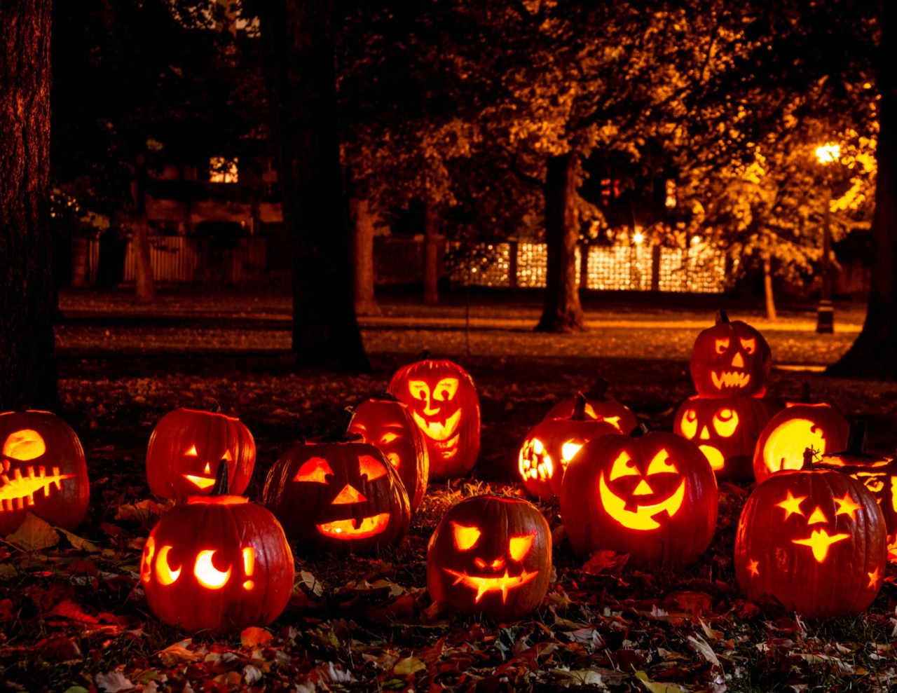 Halloween nel borgo tra leggende e letture horror a Morro d’Alba