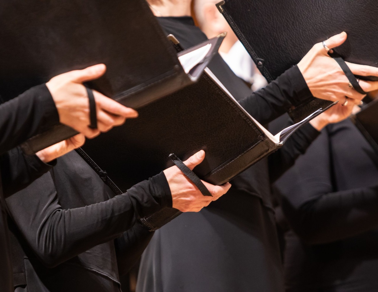Il coro NovArmonia incontra Durighello a Porto San Giorgio
