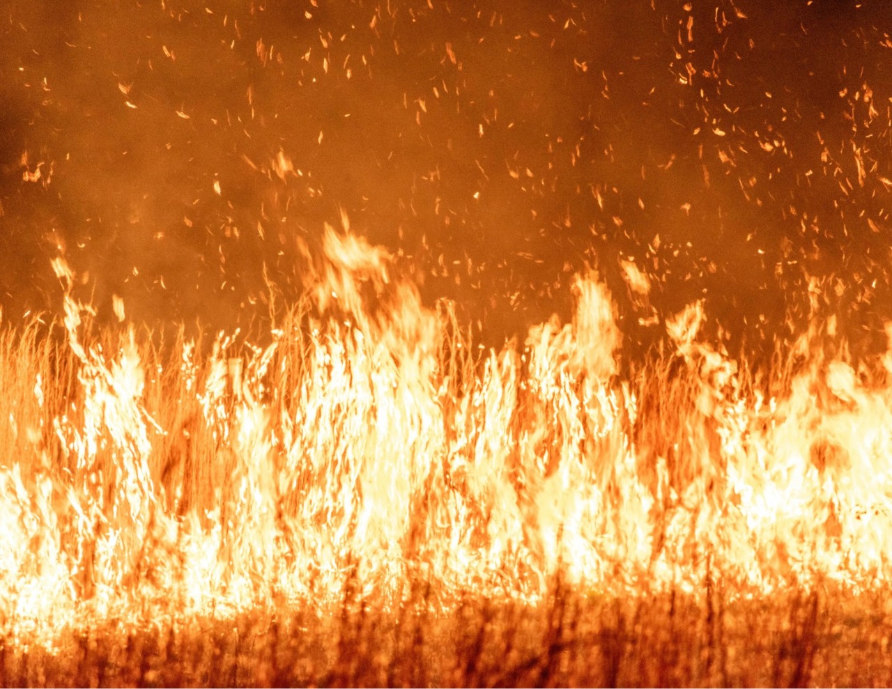 Incendio nel monastero di Aulla, salva l’icona della Madonna