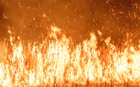 Incendio nel monastero di Aulla, salva l’icona della Madonna