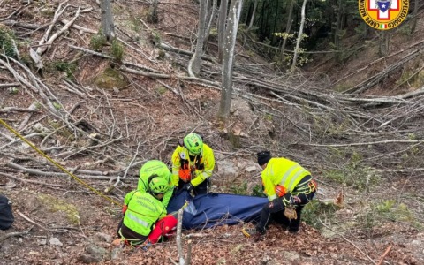 Incidente sul lavoro: muore un boscaiolo di 35 anni
