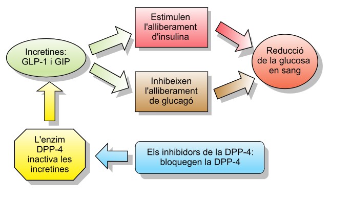 Incretine, nuovi farmaci oltre la perdita di peso