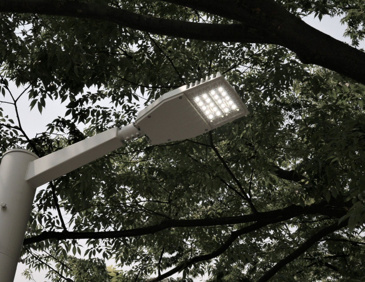 Nei parchi di Terre del Reno arriva l’illuminazione Led