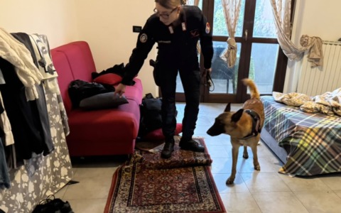 Operazione “Alto Impatto” a Roma: Carabinieri in azione a La Storta e Casalotti