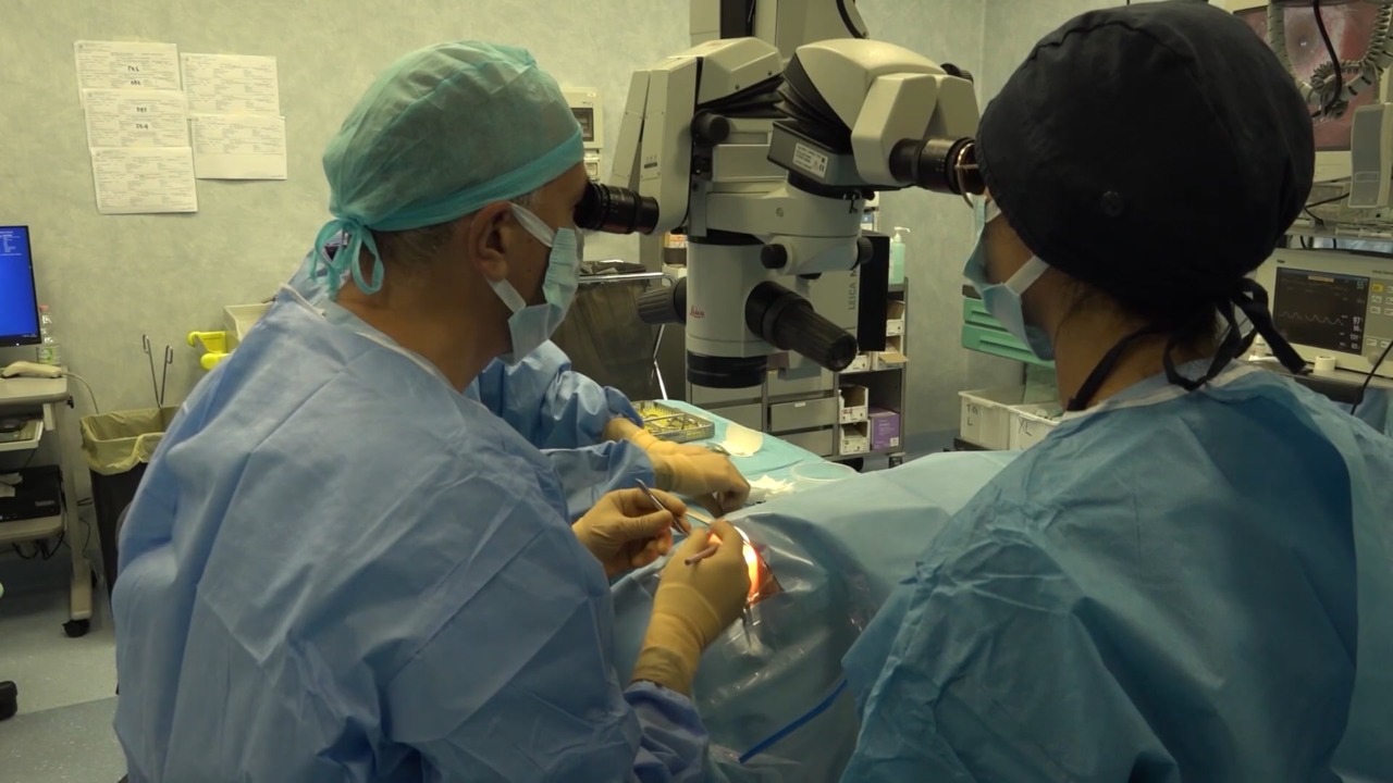 Policlinico Sant’Orsola: ecco la nuova ‘cornea ibrida’, metà umana e metà artificiale