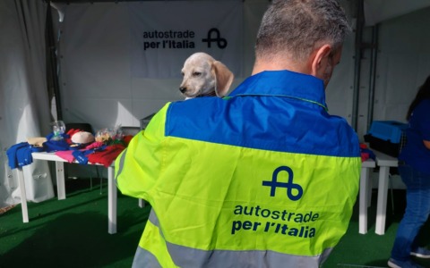 Sicurezza stradale e benessere animali, il presidio sull’A1