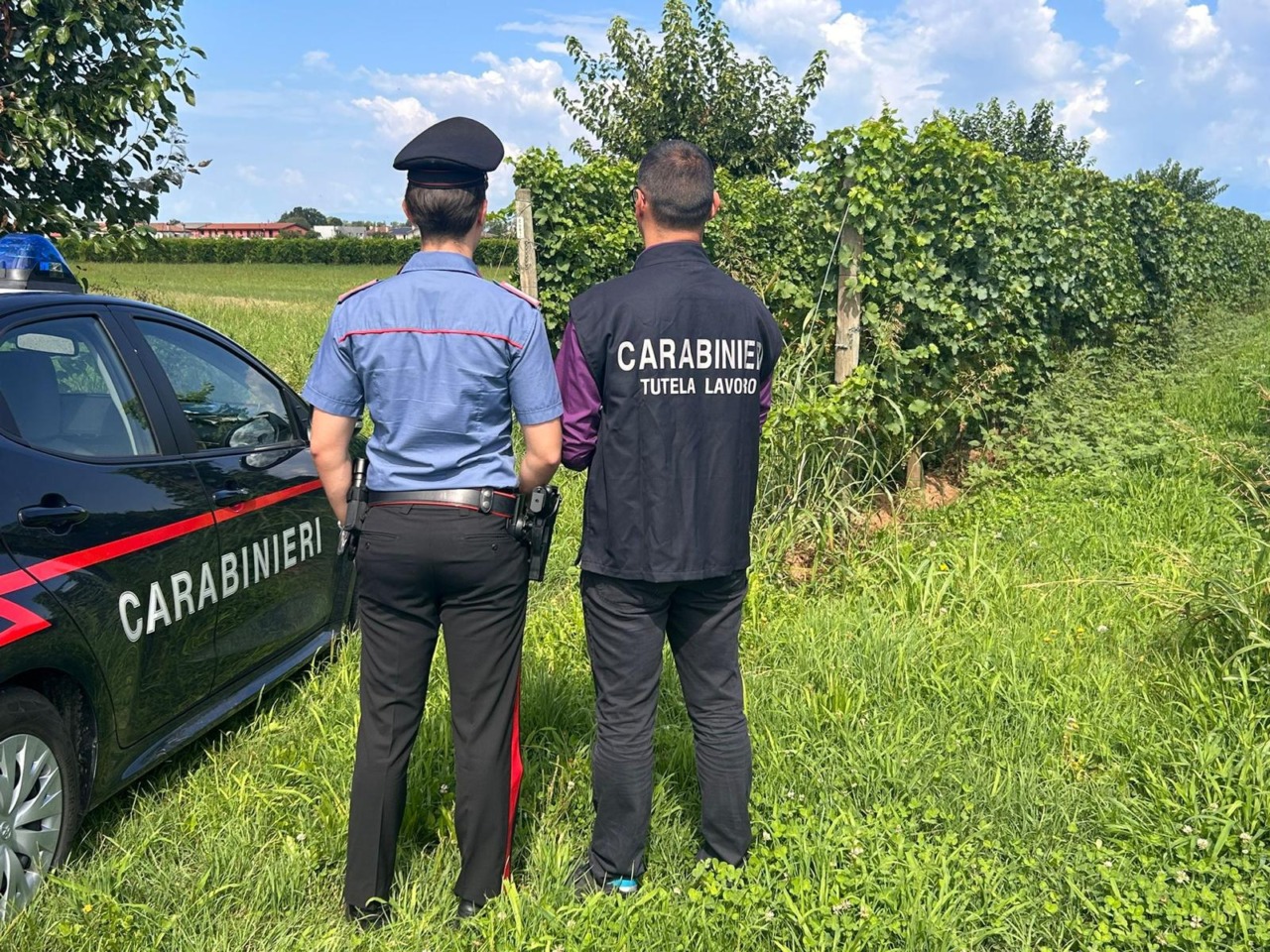 Siena, blitz anti-caporalato: sospese due aziende
