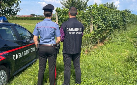 Siena, blitz anti-caporalato: sospese due aziende