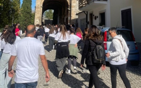 Successo per “Walk for the Cure”