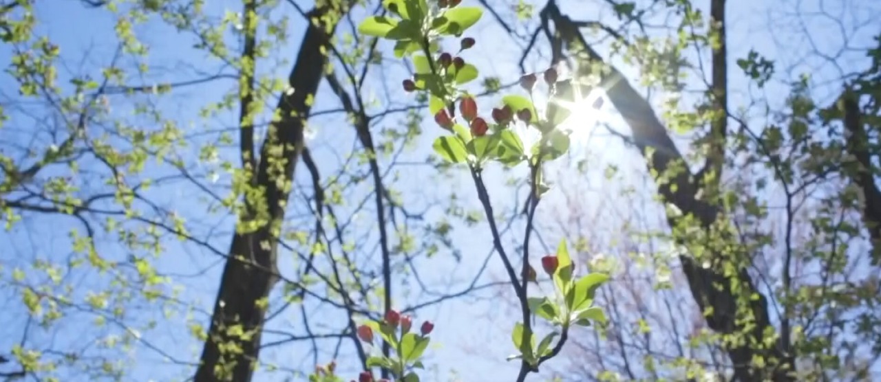 Torna il sole dopo il maltempo nelle province di Latina e Frosinone