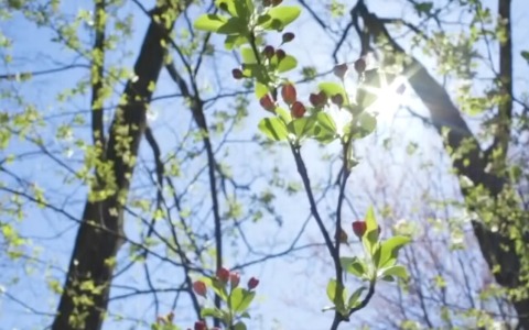 Torna il sole dopo il maltempo nelle province di Latina e Frosinone