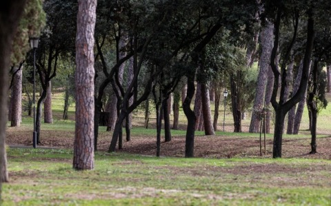 “Un albero per la salute”, la quarta edizione