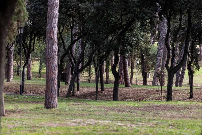 “Un albero per la salute”, la quarta edizione